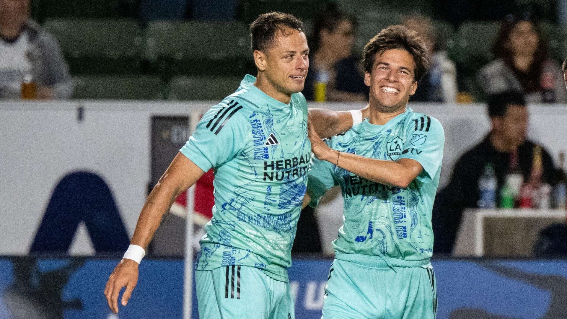 新晋势力的 新晋势力的