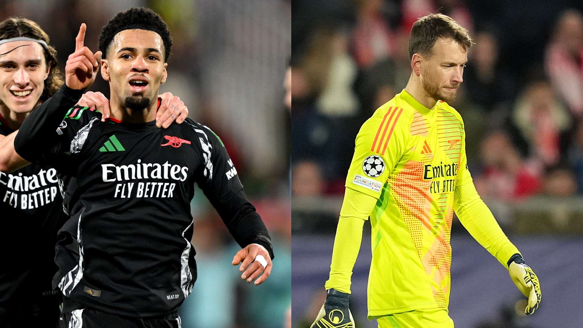 的敏銳嗅覺 的敏銳嗅覺