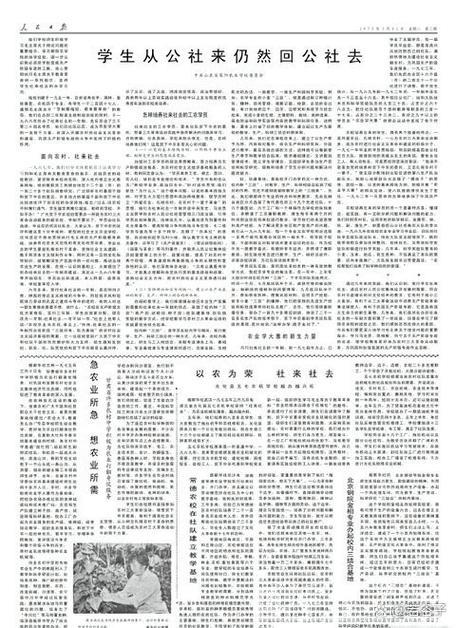 从一粒小麦感受中国经济新脉动(人民时评) ——半年报里看信心③ 从一粒小麦感受中国经济新脉动(人民时评) ——半年报里看信心③